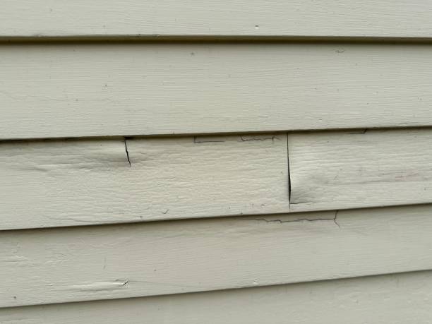 Affordable Siding Repair and Maintenance Services in Chapel Hill, NC